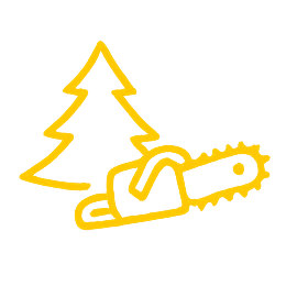 Image for choice number 5